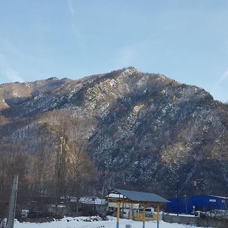Efm Motel Brezoi Dış mekan fotoğraf