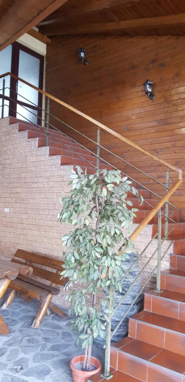 Efm Motel Brezoi Dış mekan fotoğraf