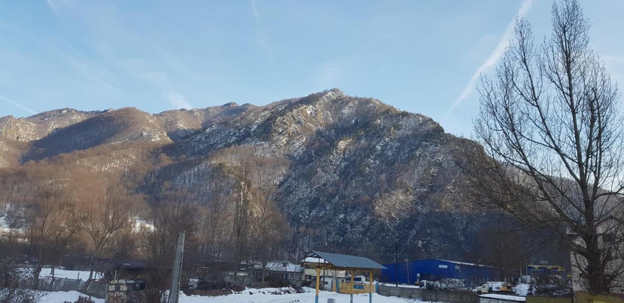 Efm Motel Brezoi Dış mekan fotoğraf